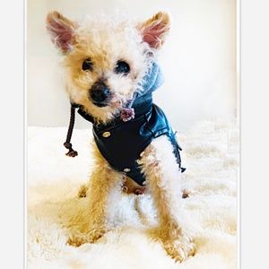 HIP DOGGIE VINTAGE BOMBER JACKET